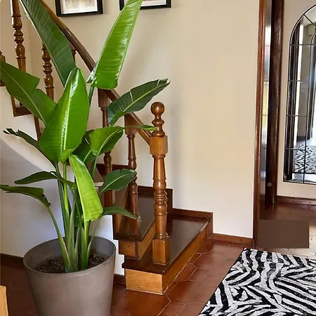 Baltazar Holiday home
