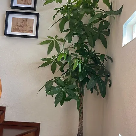 Σπίτι διακοπών Baltazar