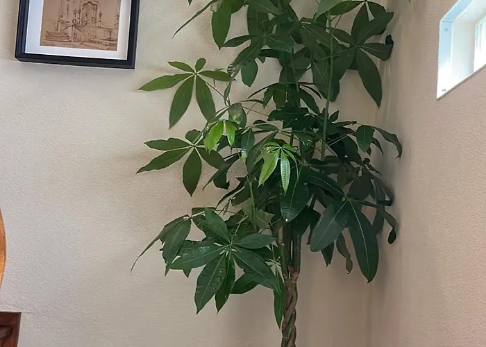 Vakantiehuis Baltazar